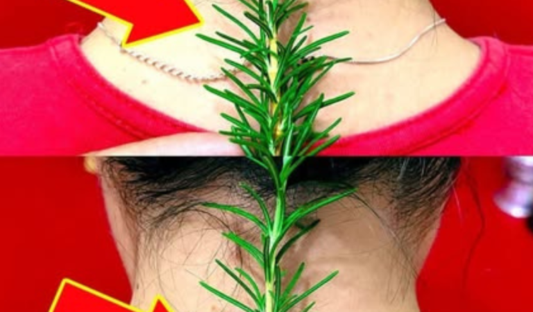 Put 1 Rosemary on the Back of Your Neck and Stop Spending Money at the Pharmacy