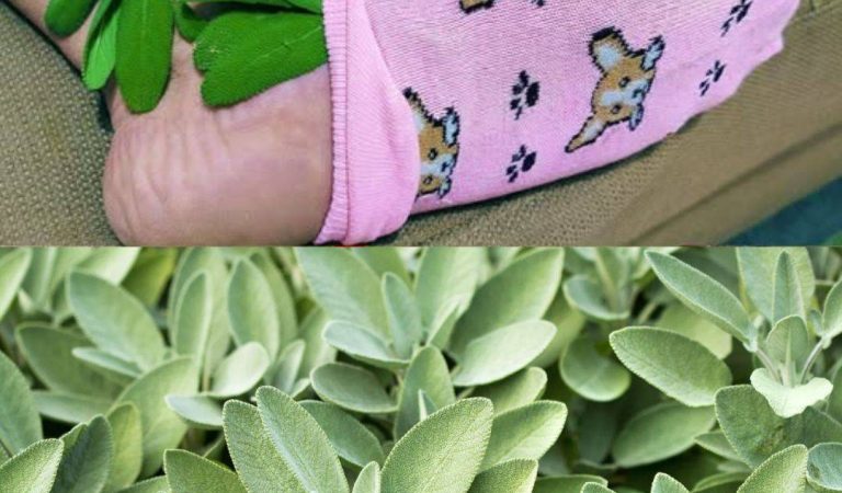 Sage: The Powerful Herb That Fights Inflammation, Pain, and More